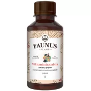 Sirop Vitaminizantus miere propolis fara zahar 200ml - FAUNUS PLANT