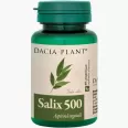 Salix 500 [Aspirina vegetala] 60cp - DACIA PLANT