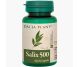 Salix 500 [Aspirina vegetala] 60cp - DACIA PLANT