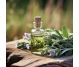 Ulei esential salvie 10ml - HERBAL SANA