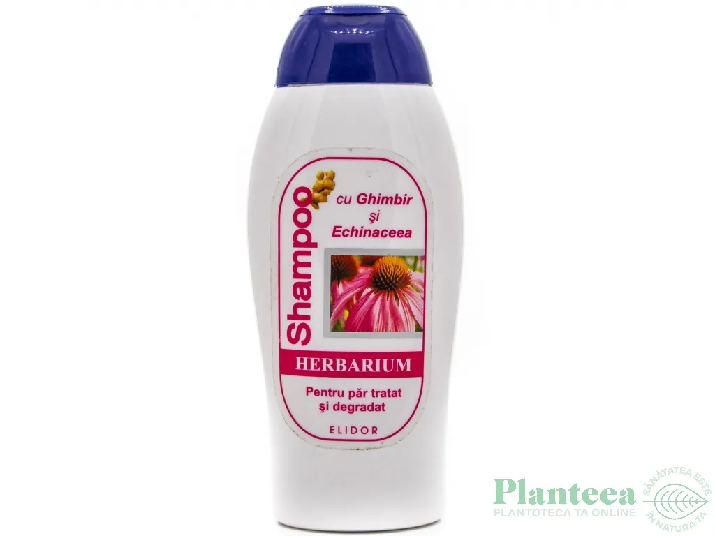 Sampon ghimbir echinaceea antimatreata 250ml - ELIDOR