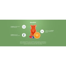Jeleuri Echilibru Zilnic multivitamine adulti fara zahar Wellness 60b - SANOVITA