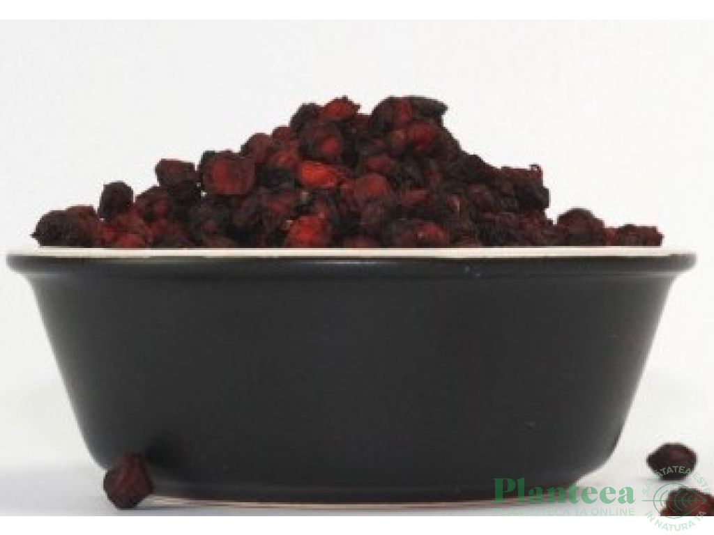 Schizandra fructe uscate 250g - EVERTRUST