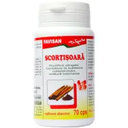 Scortisoara 70cps - FAVISAN