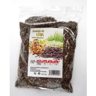 Seminte chia 100g - GREEN SENSE