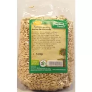 Seminte pt iarba orz verde eco 500g - PARADISUL VERDE