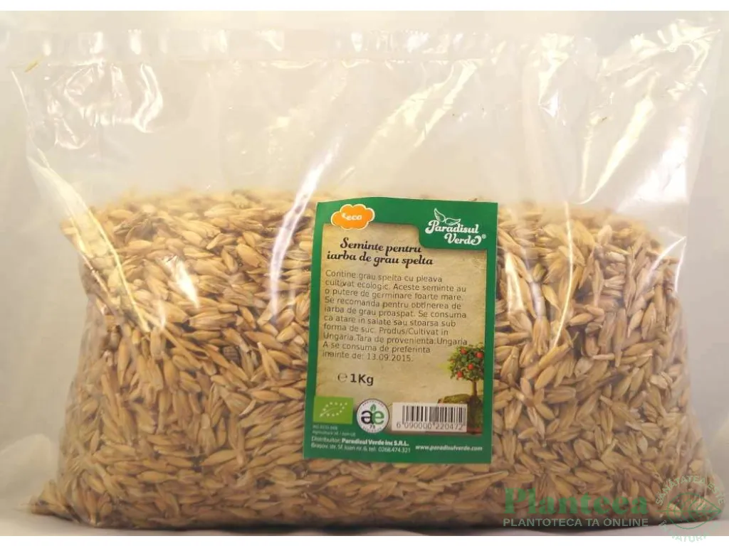 Seminte pt iarba spelta eco 1kg - PARADISUL VERDE