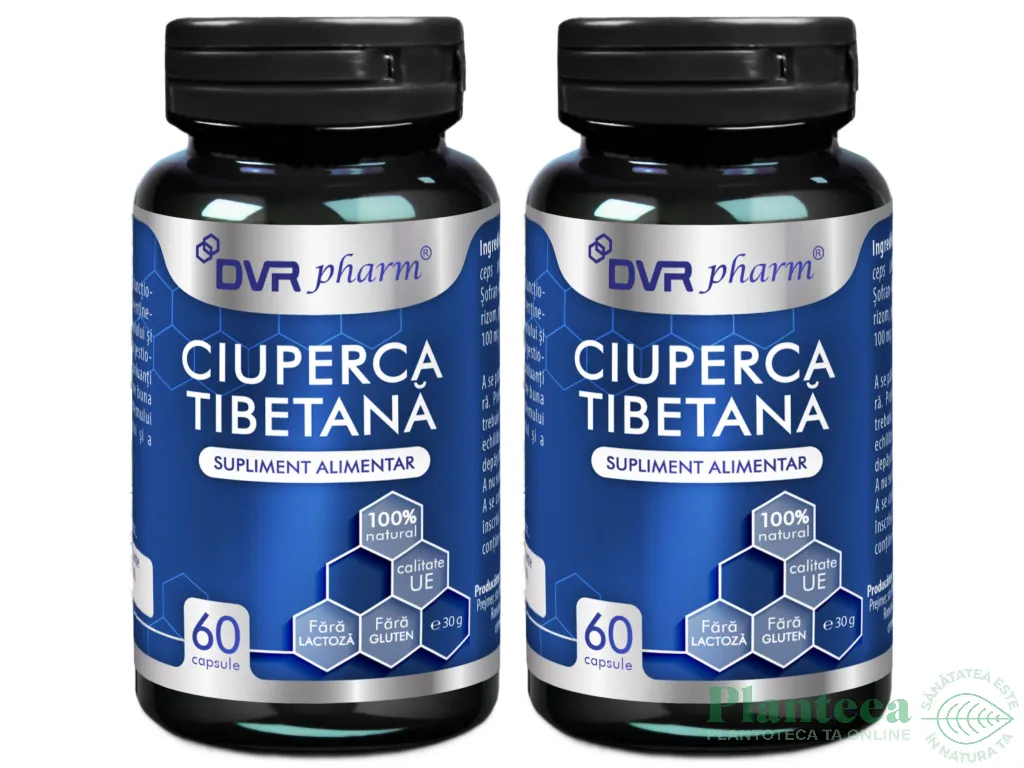 Set Ciuperca tibetana 2x60cps - DVR PHARM