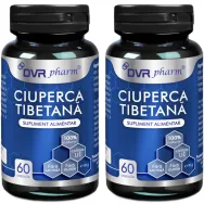 Set Ciuperca tibetana 2x60cps - DVR PHARM