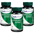 Set Astragalus extract 3x30cps - DVR PHARM