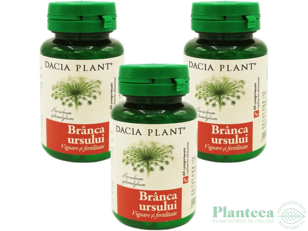 Set Branca ursului 3x60cp - DACIA PLANT