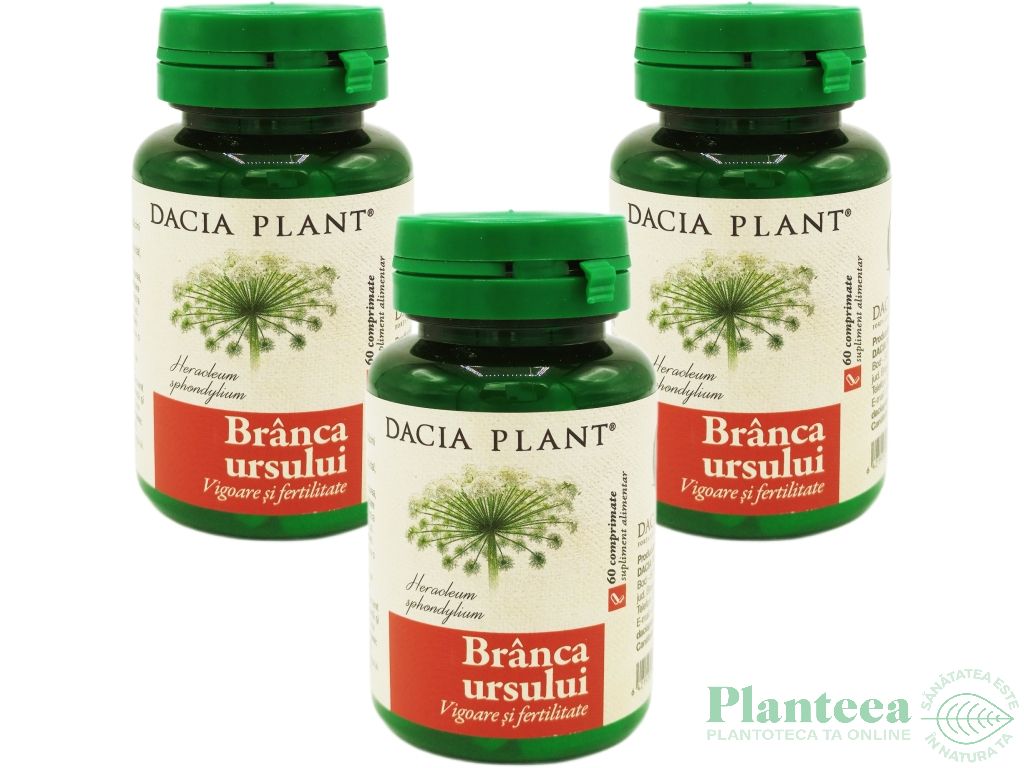 Set Branca ursului 3x60cp - DACIA PLANT