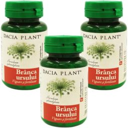 Set Branca ursului 3x60cp - DACIA PLANT