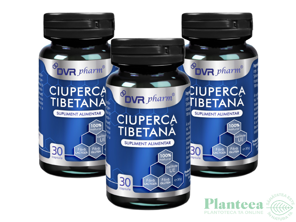 Pachet Ciuperca tibetana 3x30cps - DVR PHARM