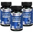 Pachet Ciuperca tibetana 3x30cps - DVR PHARM