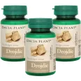 Pachet Drojdie bere 500mg 3x60cp - DACIA PLANT