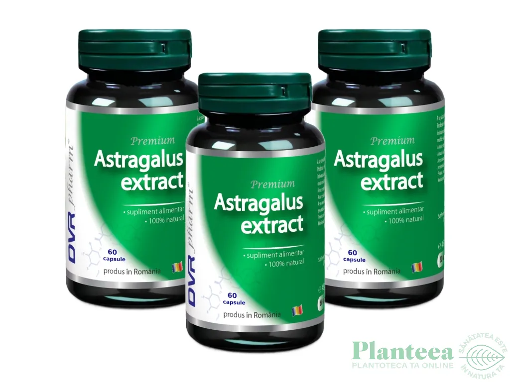 Set Astragalus extract 3x60cps - DVR PHARM