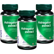 Pachet Astragalus extract 3x60cps - DVR PHARM