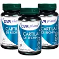 Pachet Cartilaj rechin 3x60cps - DVR PHARM