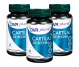 Set Cartilaj rechin 3x60cps - DVR PHARM