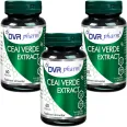 Set Ceai verde extract 3x60cps - DVR PHARM