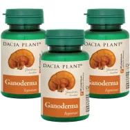 Pachet Ganoderma 3x60cp - DACIA PLANT