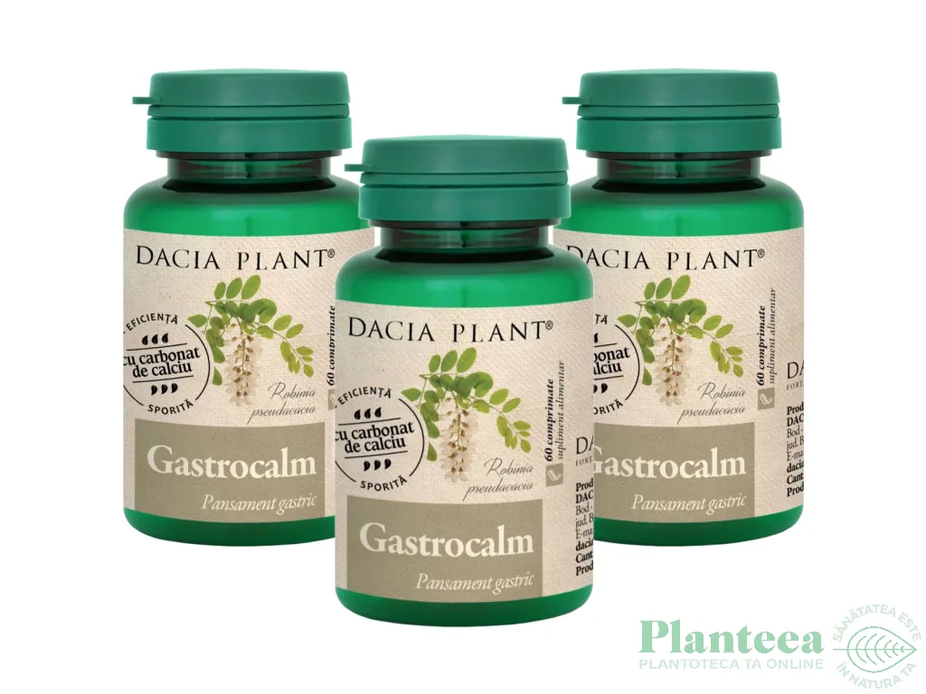 Set GastroCalm 3x60cp - DACIA PLANT