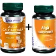 Pachet Alga calcaroasa 60+30cps - DVR PHARM
