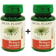 Set Branca ursului 2x60cp - DACIA PLANT