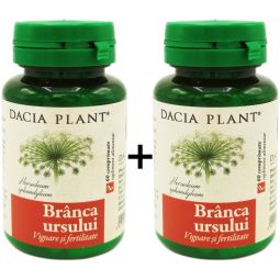 Set Branca ursului 2x60cp - DACIA PLANT