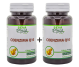 Set Propolis vitamina C echinaceea stevie masticabile 2x40cp - SEVA PLANT