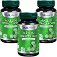 Set Maslin extract forte 3x60cps - DVR PHARM