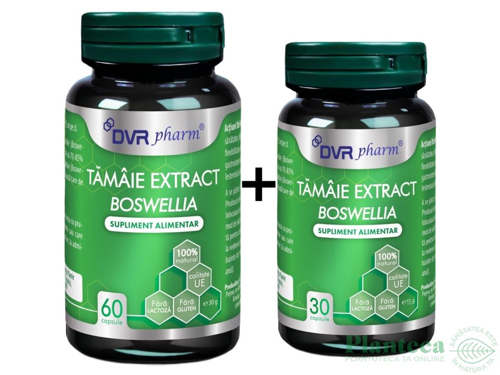 Pachet Tamaie extract [boswellia] 60+30cps - DVR PHARM