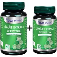 Pachet Tamaie extract [boswellia] 60+30cps - DVR PHARM