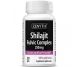Shilajit Fulvic complex 30cps - ZENYTH
