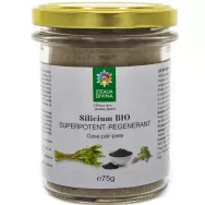 Silicium Bio superpotent regenerant 75g - SANTO RAPHAEL