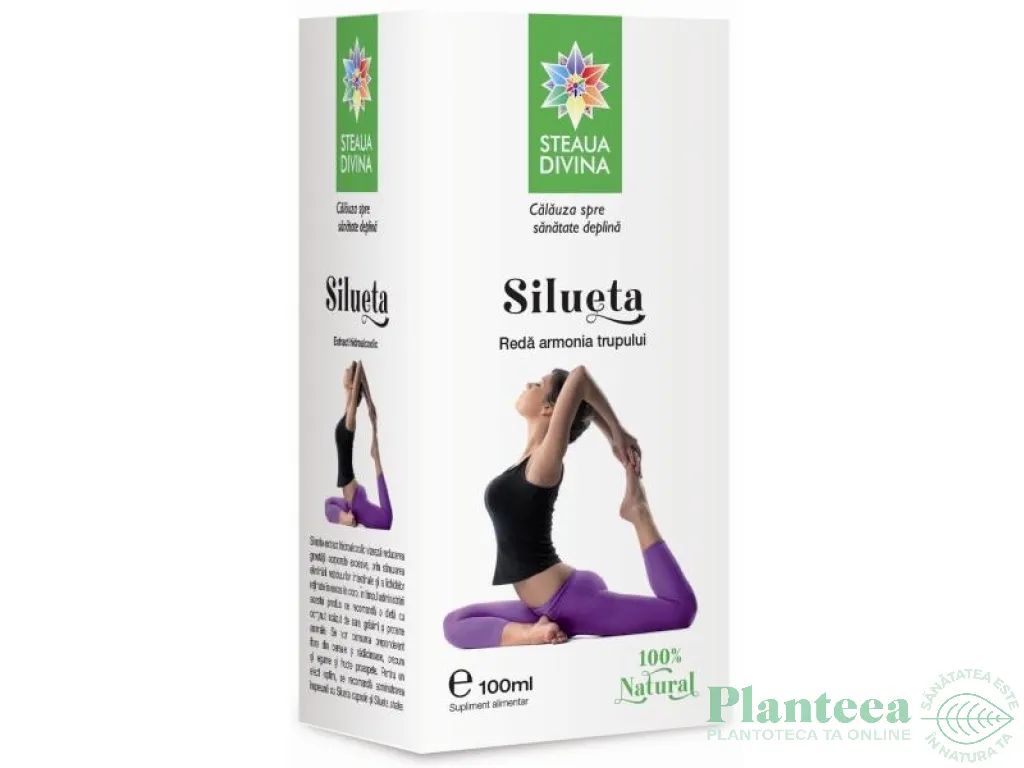 Tinctura Silueta 100ml - SANTO RAPHAEL