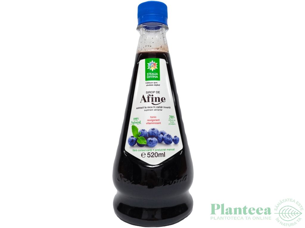 Sirop afine 520ml - SANTO RAPHAEL