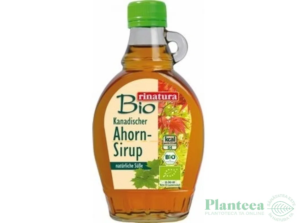 Indulcitor sirop artar 250ml - RINATURA