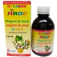 Sirop muguri brad plop miere 200ml - ELIDOR