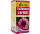 Sirop echinaceea propolis 200ml - ELIDOR