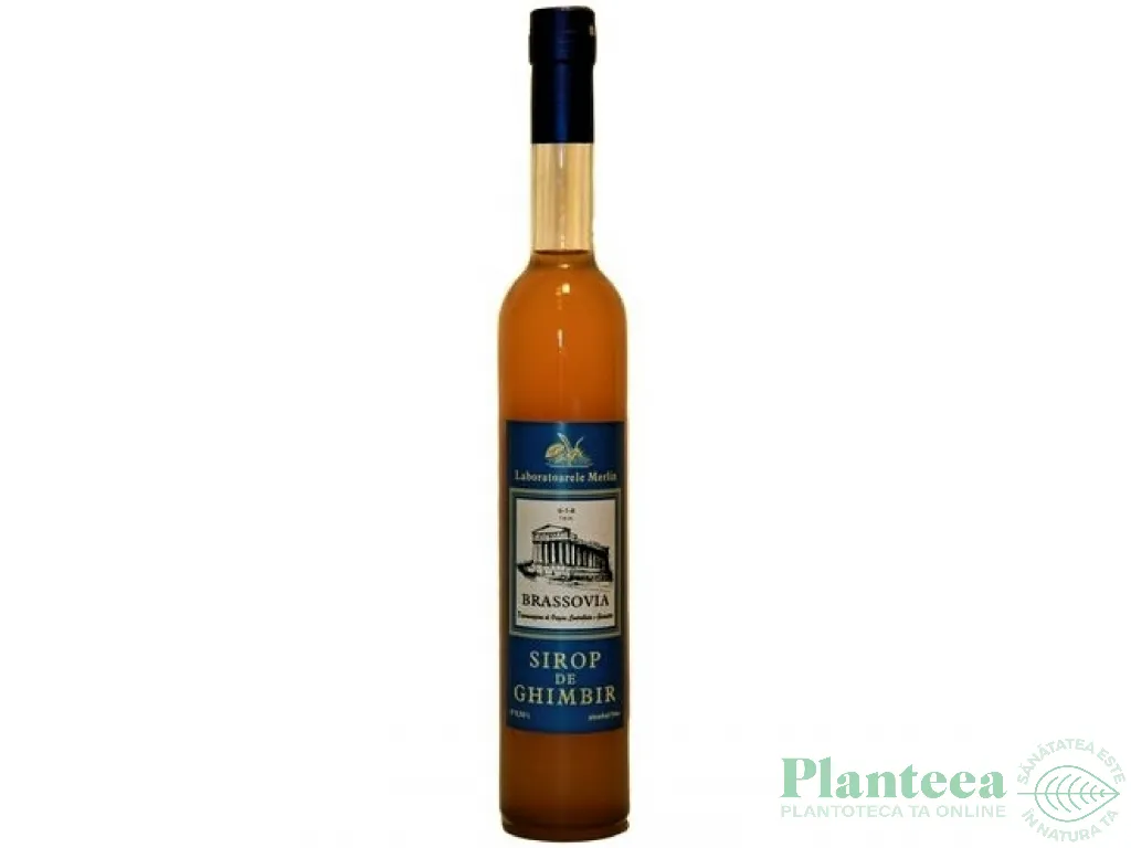 Sirop ghimbir 500ml - MERLIN