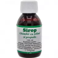 Sirop ghimbir telina propolis 100ml - ELIDOR