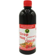 Sirop macese catina cu zahar invertit 500ml - HYPERICUM PLANT