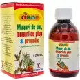 Sirop muguri pin plop propolis 200ml - ELIDOR