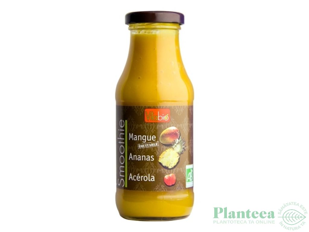 Smoothie mango ananas eco 250ml - VITABIO