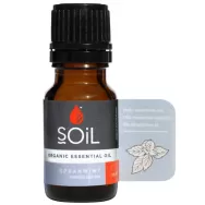 Ulei esential menta creata organic 10ml - SOiL