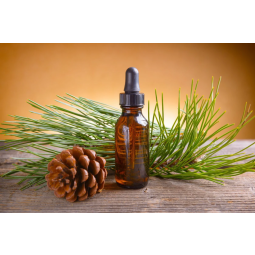 Ulei esential molid 10ml - ZANNA