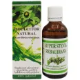 Stevie indulcitor lichid 50ml - HYPERICUM PLANT