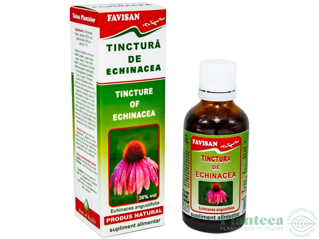 Tinctura echinaceea 50ml - FAVISAN